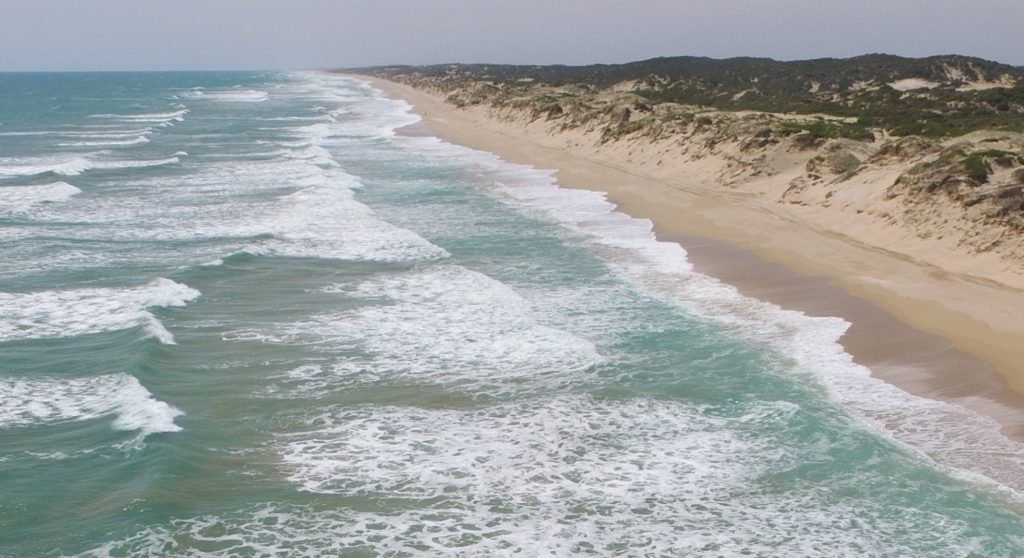 BEADS awarded ARC DP funding for research in the Coorong