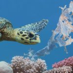 Ocean-pollution-Getty-Images_NEWS5