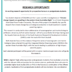 Research Opportunity Flyer