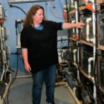 freshwater-fish-tanks-1024x683_crop