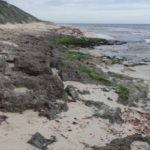 12356144-3×2-xlarge