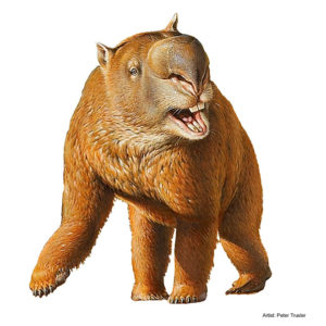 Diprotodontidae family (Diprotodon & relatives) | VAMP