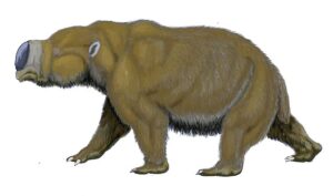Artists reconstruction of the large herbivore Diprotodon optatum. it is facing the left, in a walking pose.