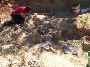 A palaeontologist excavates fossils in the bottom of a sandy excavation pit. There are excavation tools scattered around and lots of bones.