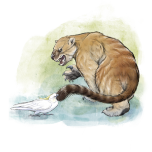 "Marsupial lion (Thylacoleo carnifex)" by Nelly Pease is licensed under CC BY-SA 4.0.